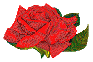 Rose S